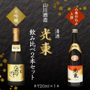 日本酒 大吟醸 清酒 【光東】地酒 セット 群馬県 千代田町 ＜山川酒造＞ ※沖縄・離島地域へのお届け不可 晩酌 純米吟醸 山廃仕込み 本醸酒 お酒 冷酒 熱燗 飲み比べ 詰め合わせ 送料無料 お取り寄せ ギフト 贈り物 贈答用 プレゼント