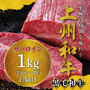 牛肉 サーロイン 【上州和牛】 ブランド 牛 1kg (250g×4枚) 群馬 県 千代田町 ※沖縄・離島地域へのお届け不可
