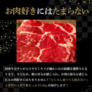 【訳あり】牛肉 サーロイン 【上州牛】 約1.2kg (約200g×6枚) 群馬県 千代田町 ※沖縄・離島地域へのお届け不可 国産 牛肉 ステーキ キャンプ アウトドア バーべキュー BBQ 冷凍 送料無料