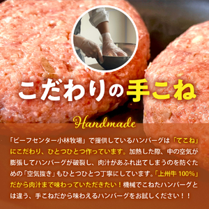 牛肉 ハンバーグ （180g×15個）手こね 上州牛100％！群馬県 千代田町 ※沖縄・離島地域へのお届け不可 肉 惣菜 手作り 和風 デミグラス ハンバーガー ロコモコ ランチ ディナー キャンプ ソロキャン バーベキュー グルメ ご馳走