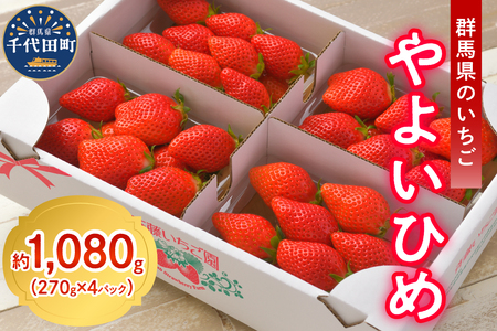 《先行予約》2026年2月発送※ いちご「 やよいひめ 」約270g×4パック 群馬県 千代田町 ＜斉藤いちご園＞ ※沖縄・離島配送不可