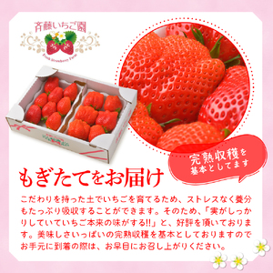 《先行受付》※3月より順次発送※ いちご「 やよいひめ 」約350g×6パック 群馬県 千代田町 ＜斉藤いちご園＞ 大粒 完熟収穫 大容量 とれたて 新鮮 送料 無料 数量 限定 甘い 豊かな 香り 贅沢 ご褒美 イチゴ ストロベリー 贈答 贈り物 ギフト プレゼント 家族 で 楽しむ フルーツ