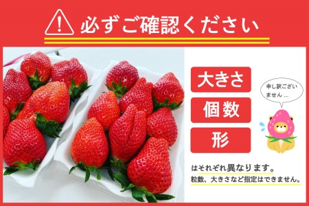 《先行予約》2026年4月発送※ いちご「 やよいひめ 」約350g×6パック 群馬県 千代田町 ＜斉藤いちご園＞ ※沖縄・離島配送不可