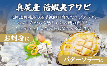 奥尻島産蝦夷アワビ（養殖）５ケ入り75mm以上 【 ふるさと納税 人気 おすすめ ランキング あわび アワビ 鮑 貝 魚介 蝦夷アワビ 新鮮 活あわび 活アワビ 北海道 奥尻町 送料無料 】 OKUF009