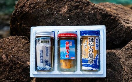 奥尻の塩辛セット 【 ふるさと納税 人気 おすすめ ランキング 珍味 海産珍味 詰め合わせ 粒ウニ うに ウニ マダラ マダラ ほや ホヤ 塩辛 北海道 奥尻町 送料無料 】 OKUH023