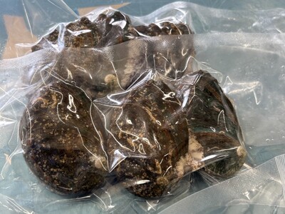 奥尻島産　冷凍養殖アワビLサイズ（3個入り） 【 ふるさと納税 人気 おすすめ ランキング あわび アワビ 鮑 養殖 貝 魚介 北海道 奥尻町 送料無料 】 OKUF018