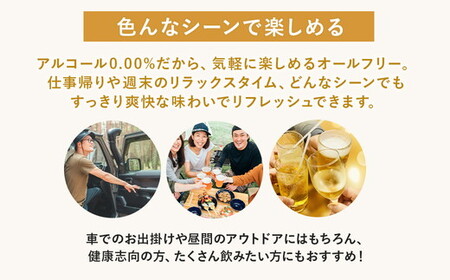 サントリー からだを想うオールフリー（350ml×24本）| 糖質0 糖質ゼロ プリン体0 カロリーゼロ 内臓脂肪 ノンアル ノンアルコール 定期便 ビール セット お歳暮 ケース 箱 缶 詰め合わせ セット ギフト お取り寄せ SUNTORY 家飲み 宅飲み 晩酌 群馬県 大泉町 ※離島への配送不可