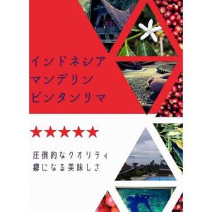 世界のコーヒー季節のオススメ　飲み比べ３ヵ国セット　『豆』　100ｇ×３ヵ国