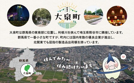 【2か月定期便】 サントリー　金麦（350ml×24本）（高田屋本店）