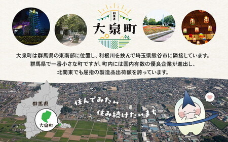 【6か月定期便】 サントリー　からだを想うオールフリー（500ml×24本）（萩原酒店）