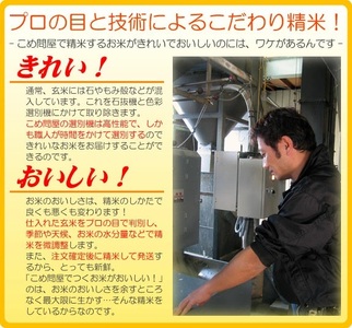 令和7年産 大泉町産 にじのきらめき （玄米30kg or 精白米約27kg） ※2025年11月上旬～2026年3月下旬頃に順次発送予定