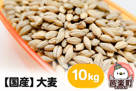 【国産】大麦 10kg×1袋 サイトウ・コーポレーション 飼料