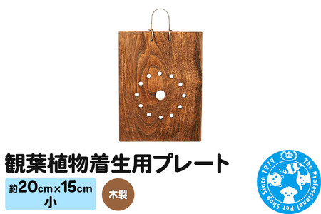 観葉植物着生用プレート 木製 小(約20×15cm) 1枚 コウモリラン ビカクシダ