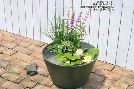 火鉢 2個セット 高さ 23 cm 風景 山水