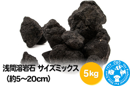 浅間溶岩石 サイズミックス（約5〜20cm）5kg