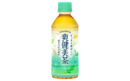 爽健美茶 300mlPET×24本 【11100-0540】