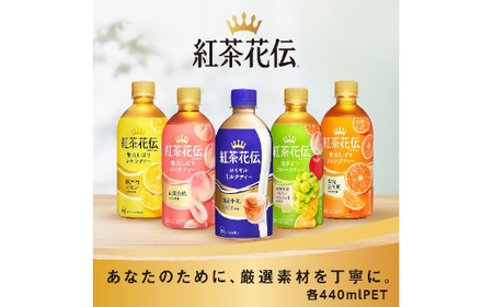 紅茶花伝 クラフティー 贅沢しぼりピーチティー 440mlPET×24本　【11100-0602】