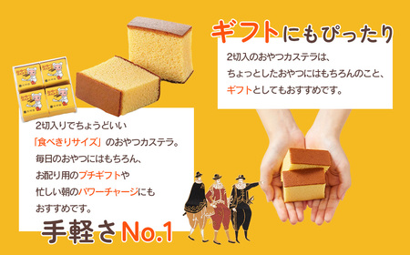 おやつカステラ 9個入【11100-0640】