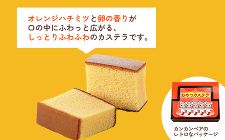 おやつカステラ 9個入【11100-0640】