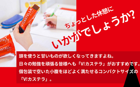 V！カステラ　10本入　【11100-0639】