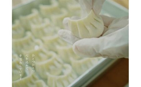 うらわ餃子 レギュラー・しそ・旨辛各20個セット