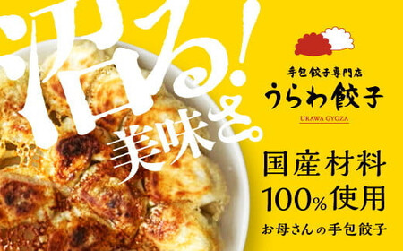うらわ餃子　全種類食べ比べセット（レギュラー20個・しそ20個・旨辛20個・バジル＆チーズ10個）　【11100-0733】
