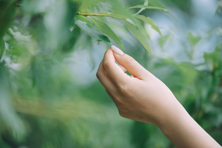 タムロン ミラーレス一眼用交換レンズ 35-150mm F/2-2.8 Di III  VXD(ニコンＺマウント用) Model:A058Z　【11100-1229】