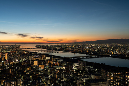 タムロン ミラーレス一眼用交換レンズ 17-50mm F/4 Di III  VXD(ソニーEマウント用) Model:A068S　【11100-1231】