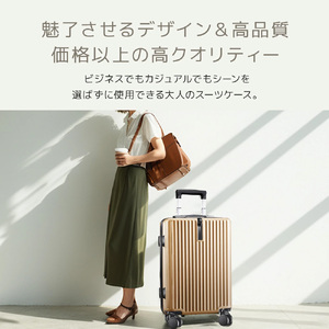 スーツケース　L　シルバー　【11100-1631-14】