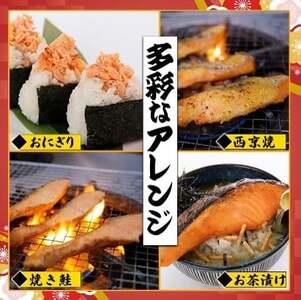 【市場食堂 花いち】銀鮭厚切り 切り身 1キロ 【11100-1911】