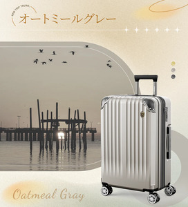 NEWTRIP0201p　スーツケース　オートミールグレー　Sサイズ　【11100-2025】