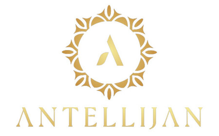 ネイルチップ ショート【飴色の華】Sサイズ Antellijan大宮ネイルサロンのハンドメイド S1-S