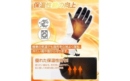 Arecomスキーグローブ S ブラック