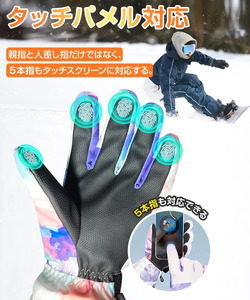 Arecomスキーグローブ　M　ホワイト　【11100-1725】