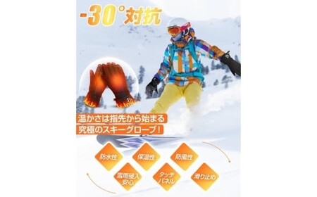 Arecomスキーグローブ L ブラック