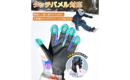 Arecomスキーグローブ L ブラック