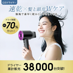 Iversan 大風量 ヘアドライヤー　ホワイト　【11100-1731】