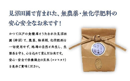 見沼田圃　ほたる米（無農薬／無化学肥料玄米） コシヒカリ 5kg　