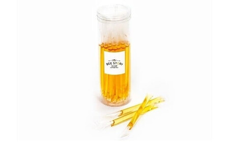 埼玉県産はちみつ24本スティック　【11100-2252】