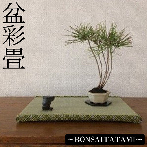 盆彩畳～BONSAITATAMI～　【11100-0032】