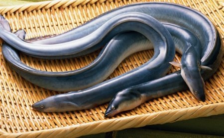 【満寿家】国産うなぎ蒲焼1人前＋白焼1人前セット　【11100-0147】