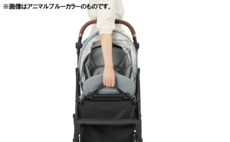 スゴカルminimo エッグショックDM（オルデンネイビー） 【11100-0132