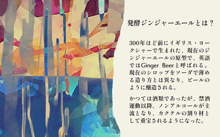 発酵ジンジャーエール 3種×4本ギフトセット　【11100-0180】