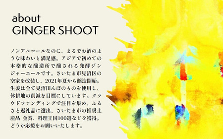 【5か月定期便】発酵ジンジャーエール 12本×5回 【11100-0182】