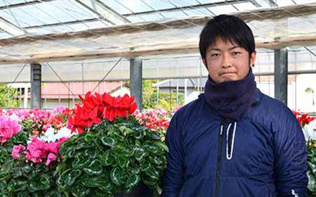 【ノブヒロ園芸】シクラメン　6号鉢　＜赤系＞　【11100-0183】