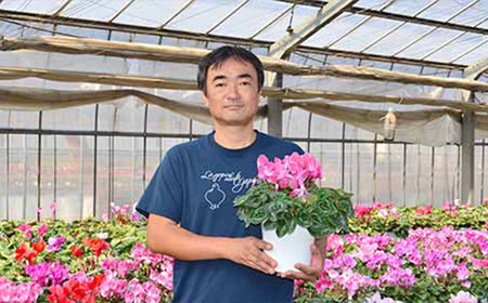 【猪原園芸】シクラメン　6号鉢　＜赤系＞　【11100-0184】