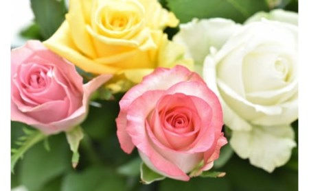 バラの花束(50cm・おまかせMIX10本)【11100-0176】