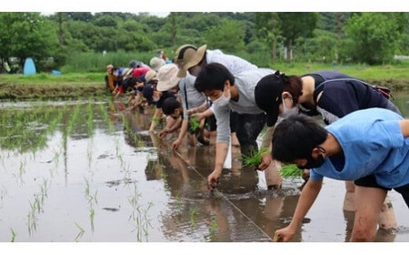 十色の米づくり体験（お米付き）全2回　【11100-0320】