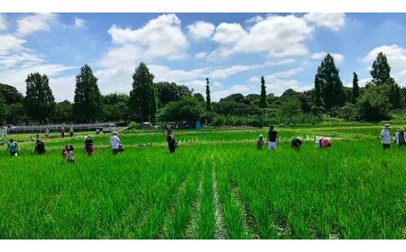 十色の米づくり体験（お米付き）全4回　