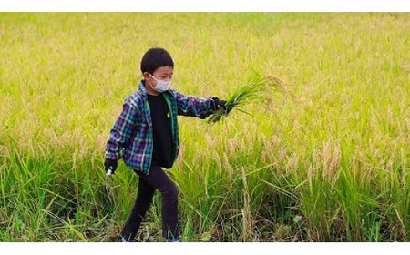 十色の米づくり体験（お米付き）全4回　